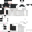 Texture for 1004
