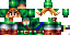 Texture for Link