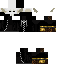 Texture for gilles2015