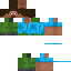 Texture for Alt Steve