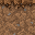 Texture for farmland_side