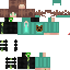 Texture for SREG