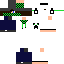 Texture for Steve