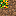 Texture for Grass