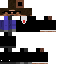 Texture for agent steve 801