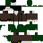 Texture for Maltitz