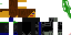 Texture for pingu