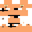 Texture for idiot