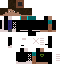 Texture for Vigmann