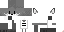 Texture for 狐狸白刺客