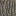 Texture for БЛОК АКАЦИИ