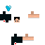 Texture for scort