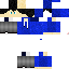Texture for Totori.png