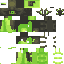 Texture for zygarde