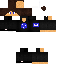 Texture for ds