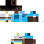 Texture for LT 11