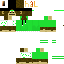 Texture for mintel