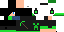 Texture for Max
