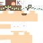 Texture for nde1