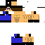 Texture for Steve