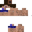 Texture for RIAD