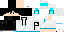 Texture for ds