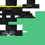 Texture for king wither