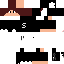Texture for SCOT