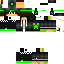 Texture for Dokcs