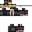 Texture for lion