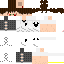Texture for flippy1