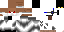 Texture for Warior
