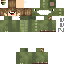 Texture for dino