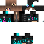 Texture for nyan cet