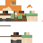 Texture for alex