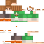 Texture for Pidge