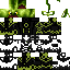 Texture for GrovyleSce