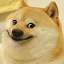 Texture for You cant untexture this texture