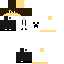 Texture for sdadadas