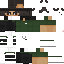 Texture for Skin_greenbggy