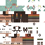 Texture for sinsukin2