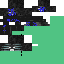 Texture for Sonic