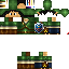 Texture for Link(Fer)