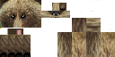 Texture for Bear