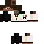 Texture for Traje