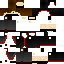 Texture for ninja