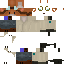 Texture for Fox Scientist
