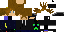 Texture for ds