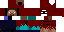 Texture for ninja steve