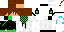 Texture for idk